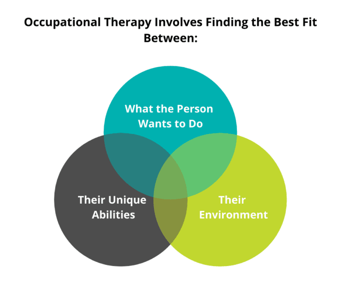 Venn diagram of Occupational Therapy: What the person wants to do, unique abilities and environment