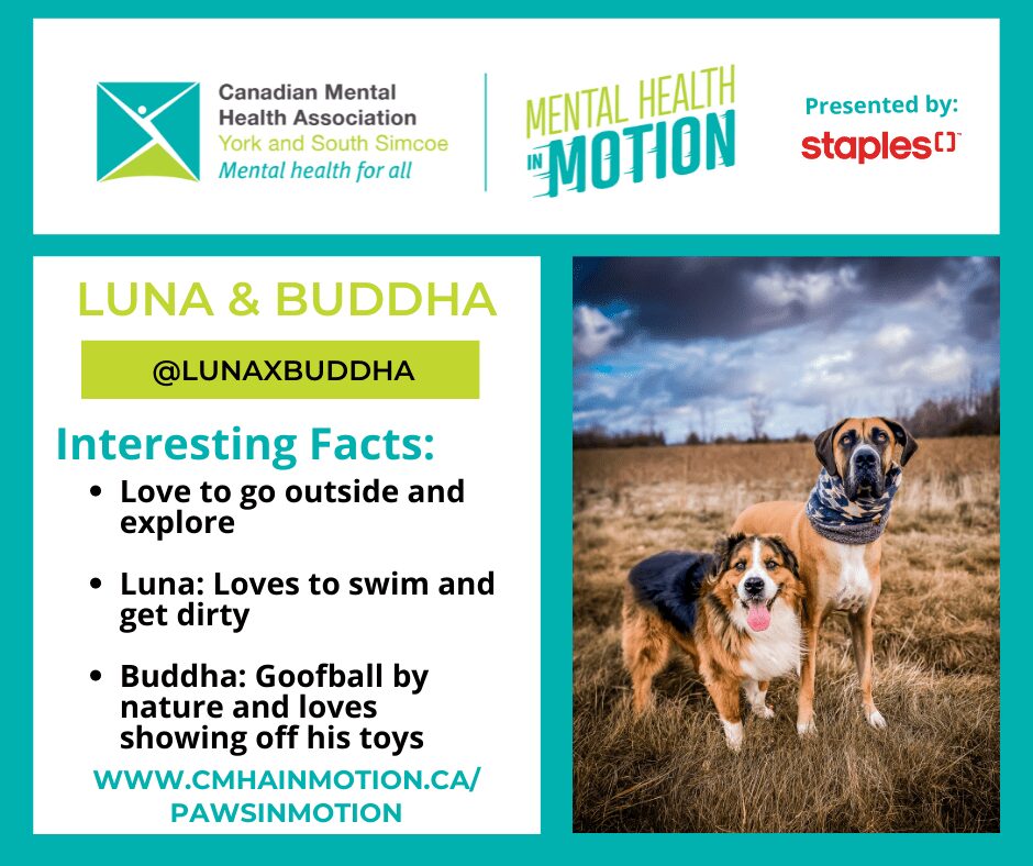 Luna and Buddha Profile